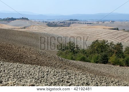 Senesi เกาะครีต