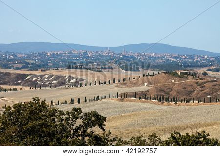 Senesi เกาะครีต