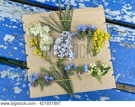 3d Painting Made Of Natural Material, Flowers And Grass, Kids Diy, Craf