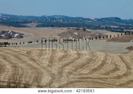 Senesi เกาะครีต