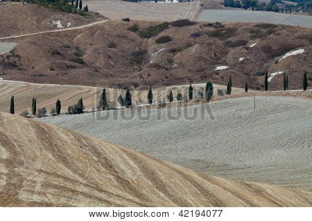 Senesi เกาะครีต
