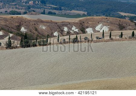 Senesi เกาะครีต