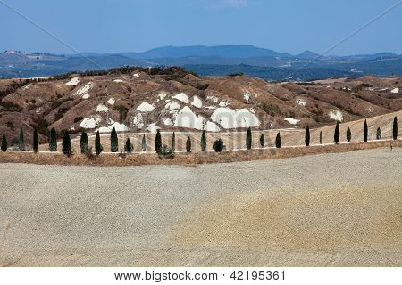 Senesi เกาะครีต