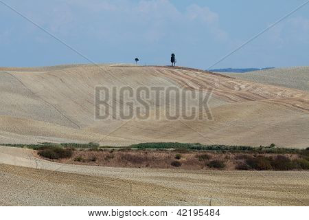 Senesi เกาะครีต