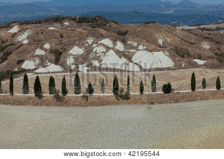 Senesi เกาะครีต