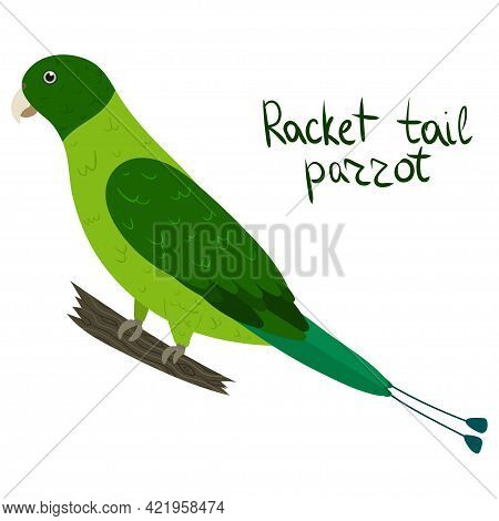 Green Racket-tail Parrot In Cartoon Style On White Background. Vector Hand Drawn Illustration. Prion