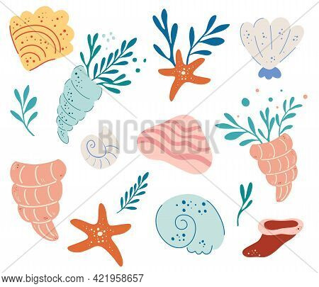 Et Of Seashells. Underwater World. Hand Drawn Various Seashells. Summer Concept. Marine Life. Mollus