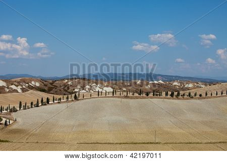 Senesi เกาะครีต