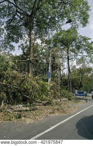 Kolkata, West Bengal, India - 23rd May 2020 : Super Cyclone Amphan Uprooted Tree Which Fell And Bloc