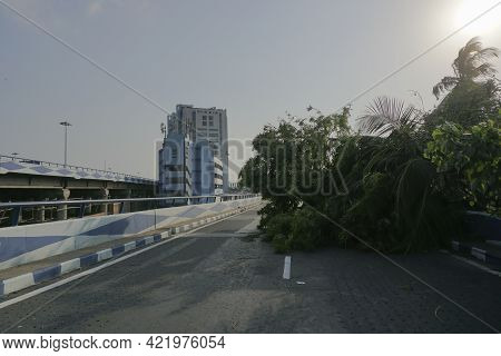 Howrah, West Bengal, India - 22nd May 2020 : Super Cyclone Amphan Uprooted Tree Which Fell And Block