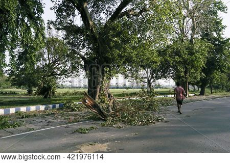 Kolkata, West Bengal, India - 22nd May 2020 : Super Cyclone Amphan Uprooted Tree Which Fell And Bloc