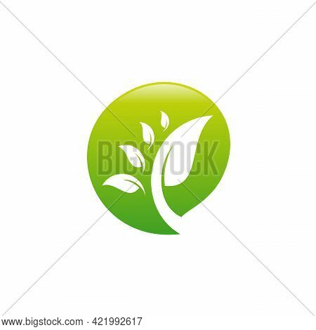 Nature Discuss Logo Designs Concept Vector, Leaf Chat Logo