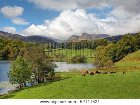 Loughrigg Tarn