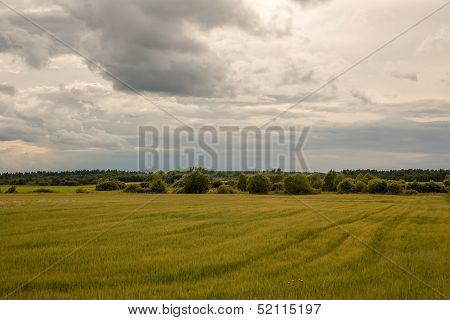 Field