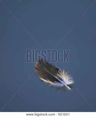 浮羽