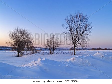 die Schneefelder gekleidet in Sonnenuntergang