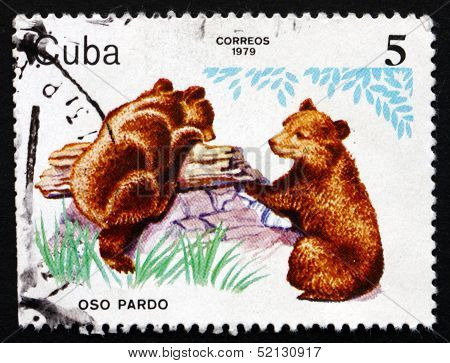 Postage Stamp Cuba 1979 Bear Cubs, Zoo Animals