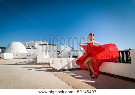 Flamenco dancer