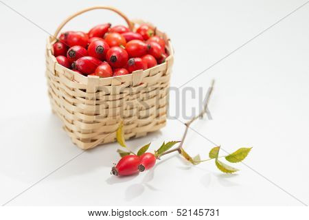 Freshly picked rose hips in small basket 