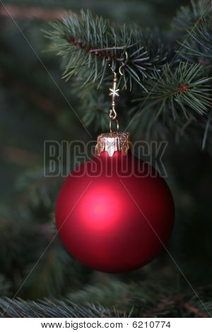 Albero di Natale