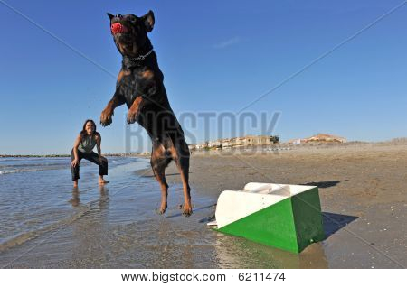 Flyball am Strand