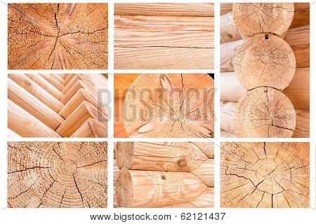 Wooden Wall. Sectioned Log