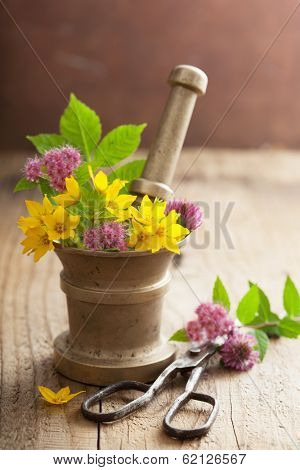 mortar with flowers and herbs 