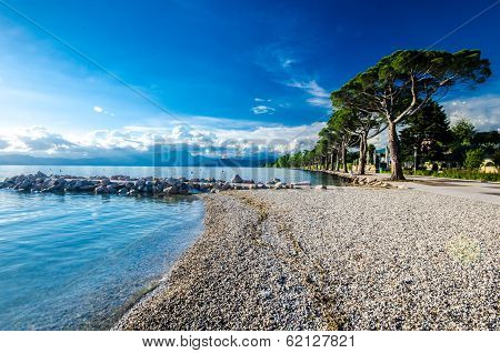 Beach View