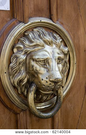 Doorknob Lion