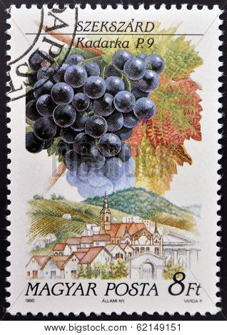 A stamp printed in Hungary shows Kadarka Grapes Szekszard