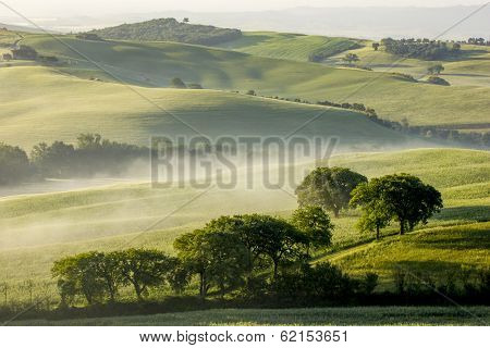 Tuscany (italy)