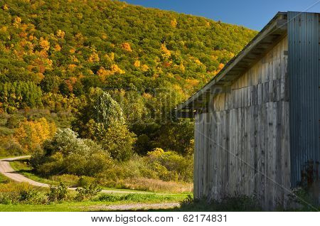 Old  Barn