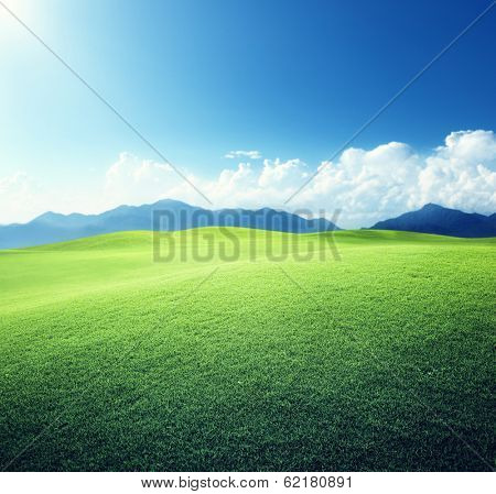 green field and mountains