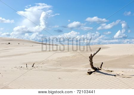 Dunes