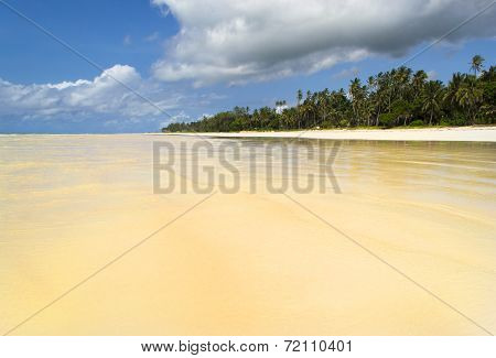 Diani beach