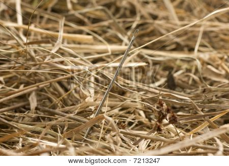 Needle in a haystack close up