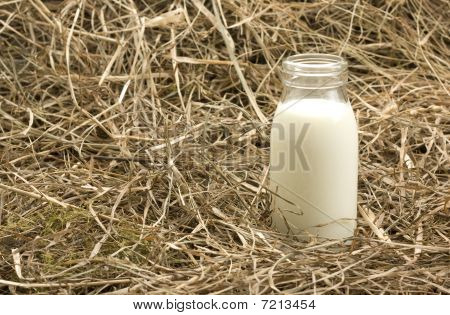 Bottle with milk on haystack