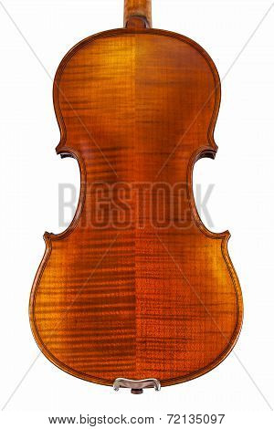The back of a violin isolated on white