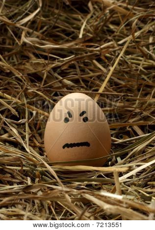 Angry smiley egg in nest