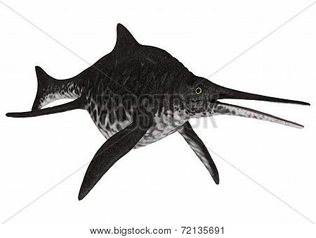 Ichthyosaur Shonisaurus