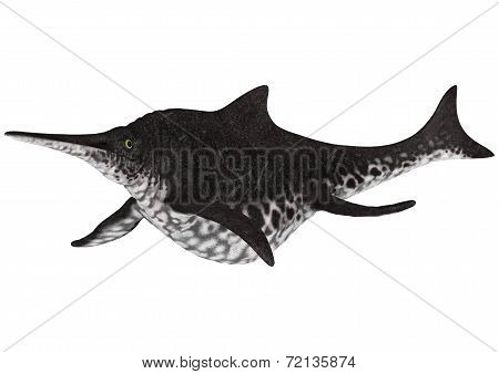 Ichthyosaur Shonisaurus