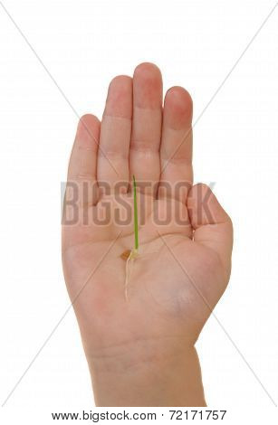 Children's Hand