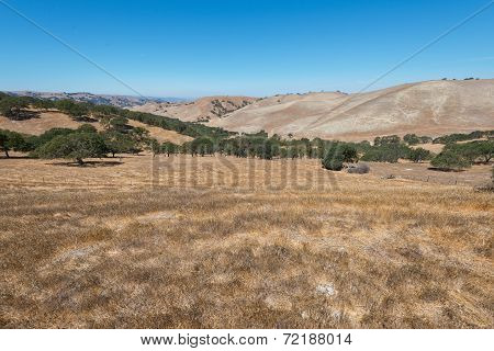 Hills