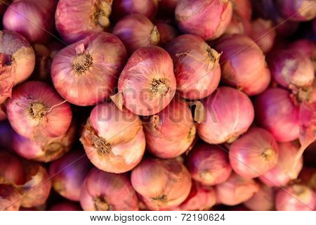 Closeup Photo Of Shallot