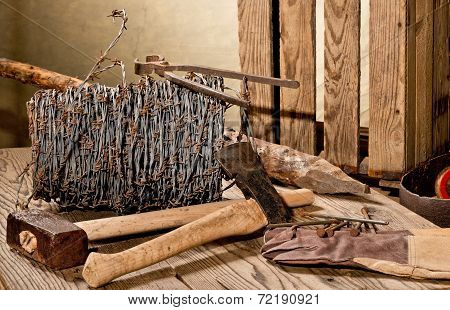 Still Life With Barbed Wire