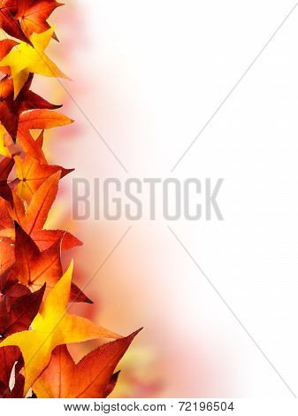 Autumn Leaves Border