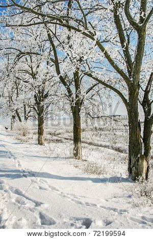 Village Street On A Winter Day
