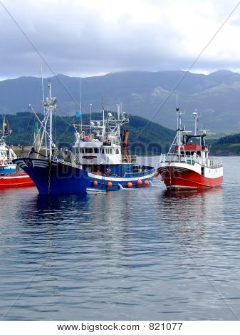 boats