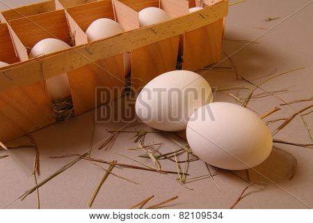 chicken eggs