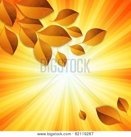 Autumn leaves design elements
